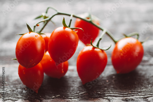 Fresh tomatoes photo