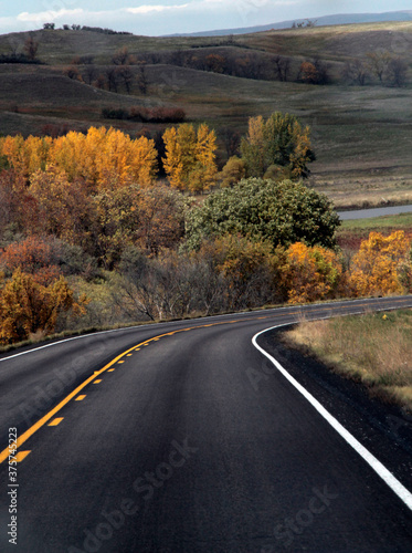 road in autumn