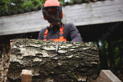 Man with chainsaw cutting a tree trunk into pieces photo