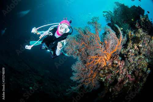 Wallpaper Mural scuba diving Torontodigital.ca