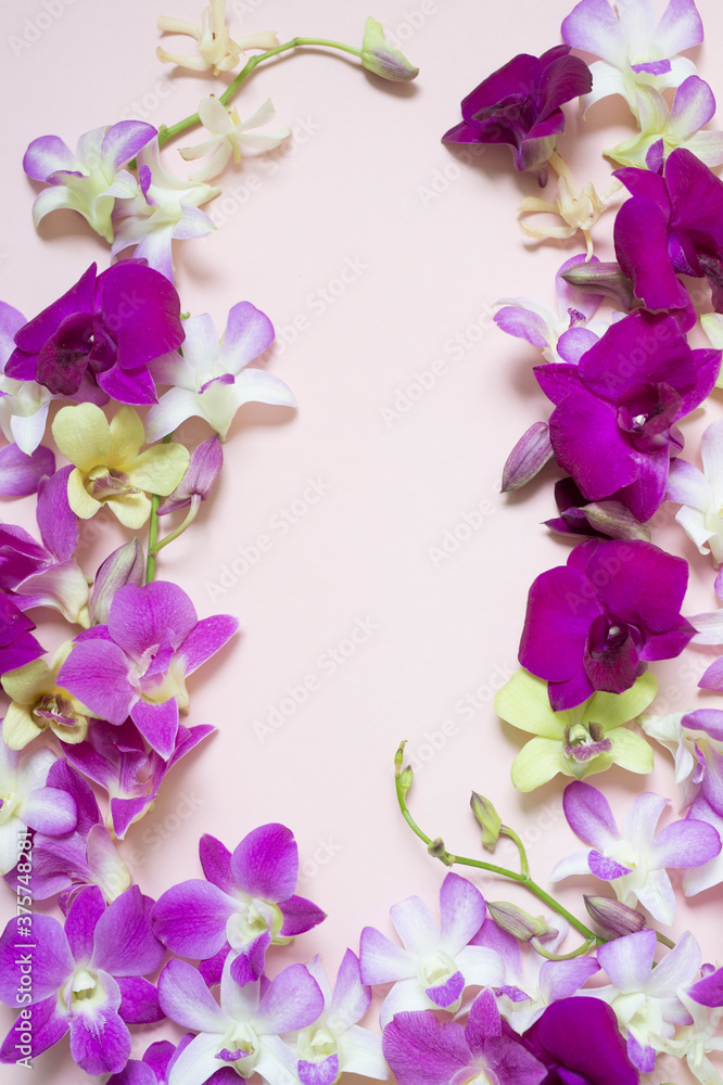 Orchids background with copyspace Orchids background with copyspace