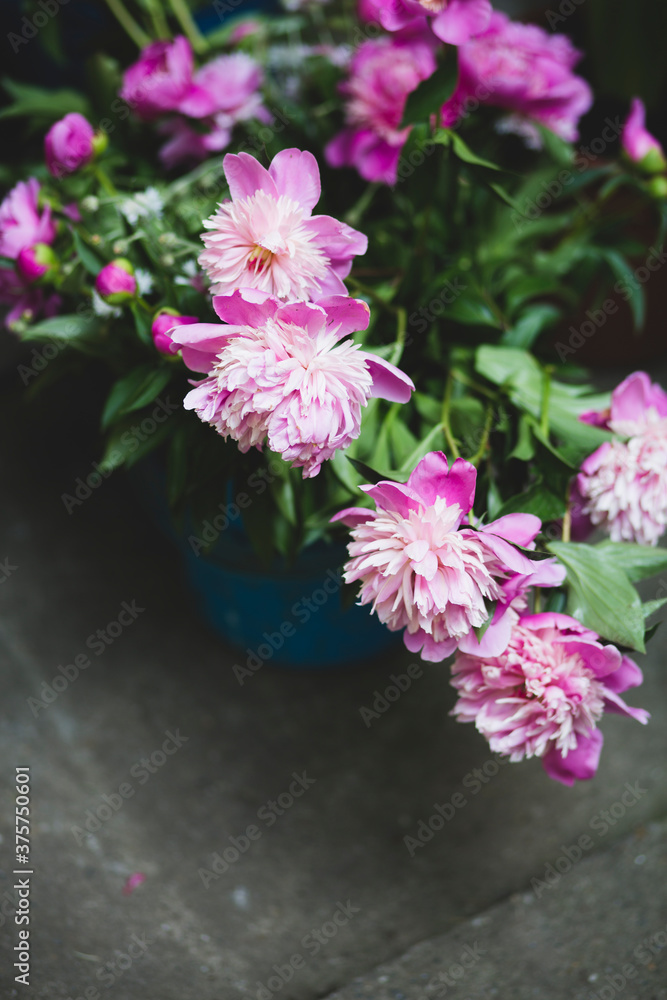 Peonies in a basket Peonies in a basket