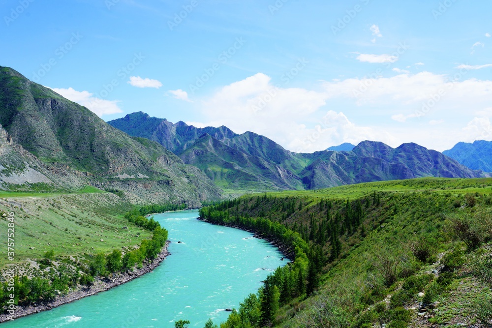 Landscape with the Katun river in Altay mountains
