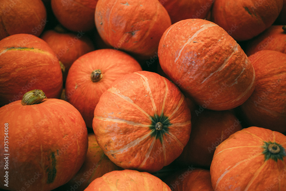 A close up of a pile of orange and ripe squash A close up of a pile of orange and ripe squash
