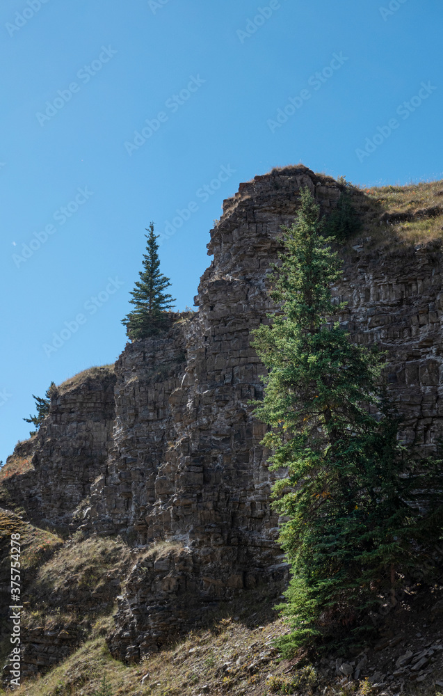 cliff and spruce trees in the Canadian Rockies