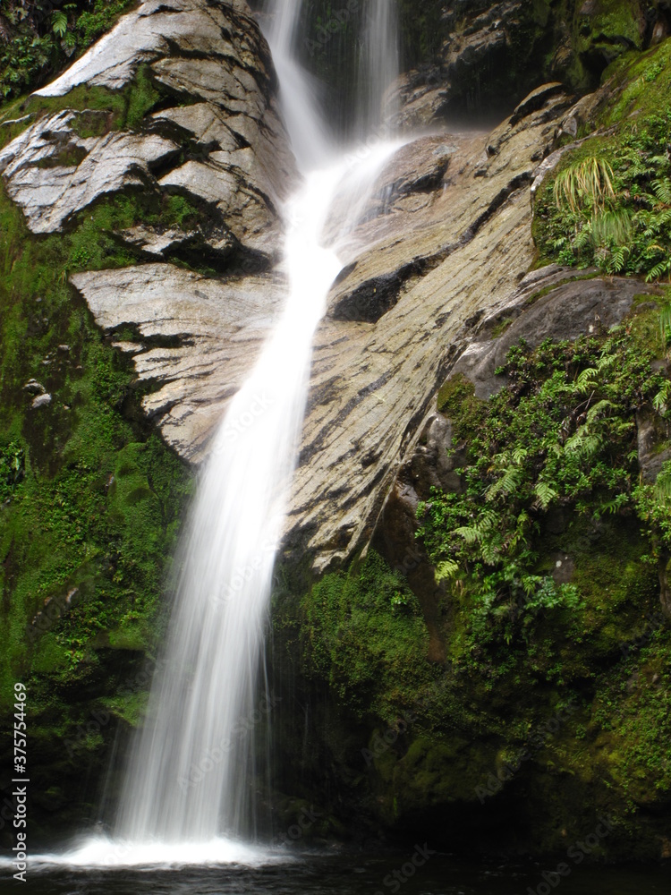 Obraz premium waterfall in the forest