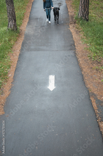 Wallpaper Mural Girl with German dog in the park Torontodigital.ca