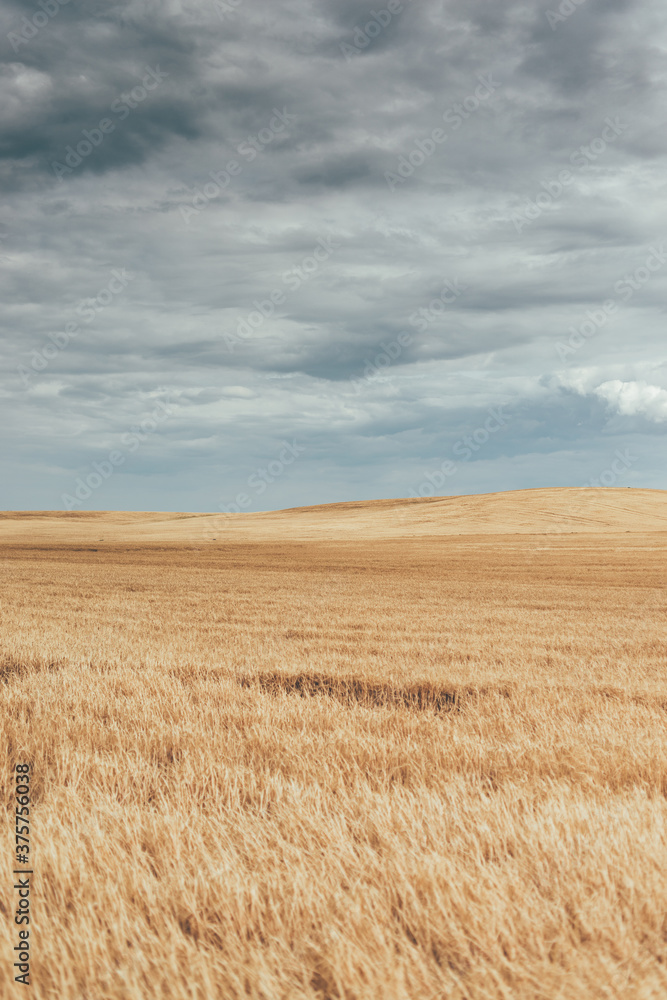 storm incoming to the cereals storm incoming to the cereals