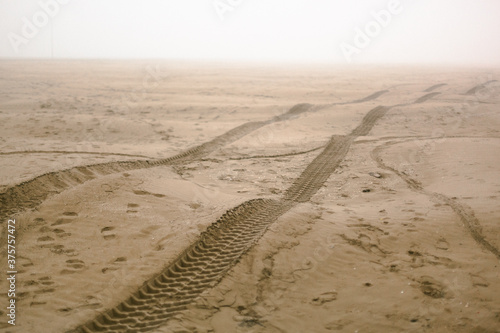 Beach in the Fog