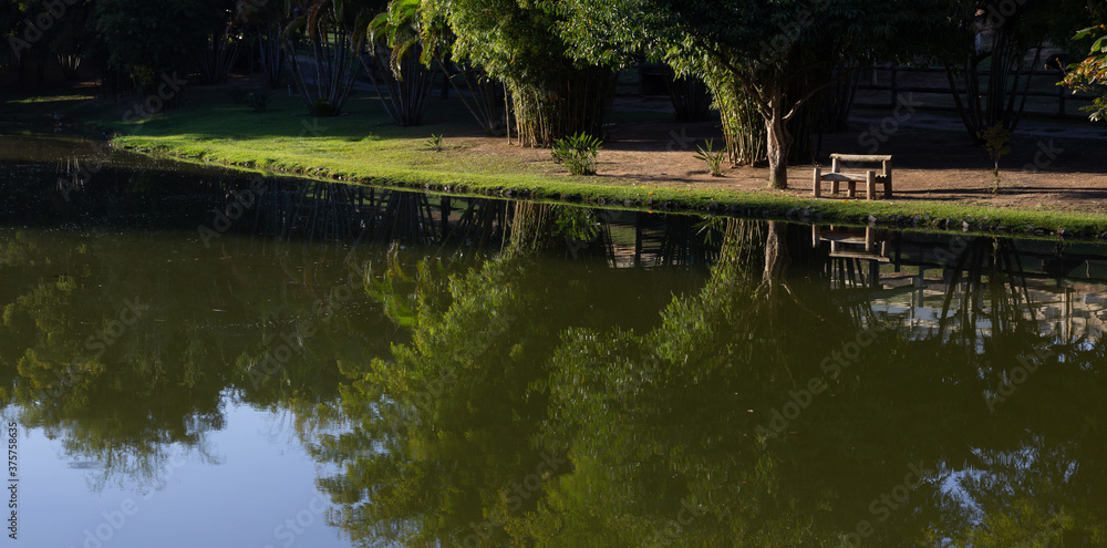 Fototapeta premium Lake