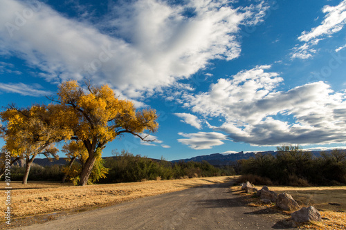 Scenes from Big Bend National Park
