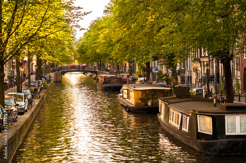 Photography Houseboats on Amsterdam Canal in Late Afternoon Summer Sun