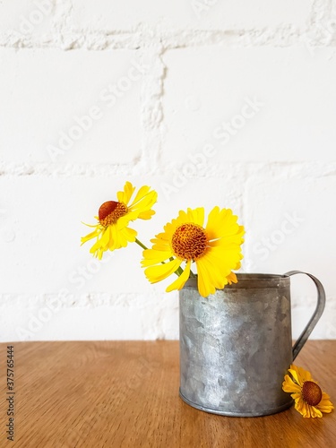Yellow rudbekia flowers or coneflowers in an iron cup on a wooden table on a white background.
