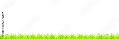 Seamless autumn grass, yellowed with spikelets on a white background. Vector illustration, flat cartoon design, eps 10.