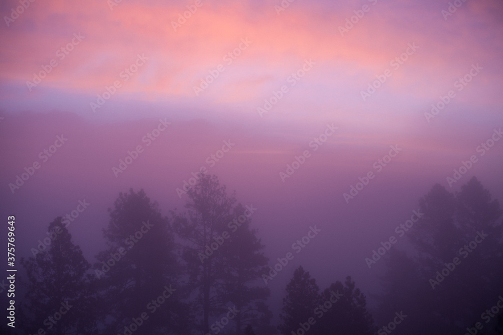 The sun coming up through the fog casting a pink hue The sun coming up through the fog casting a pink hue