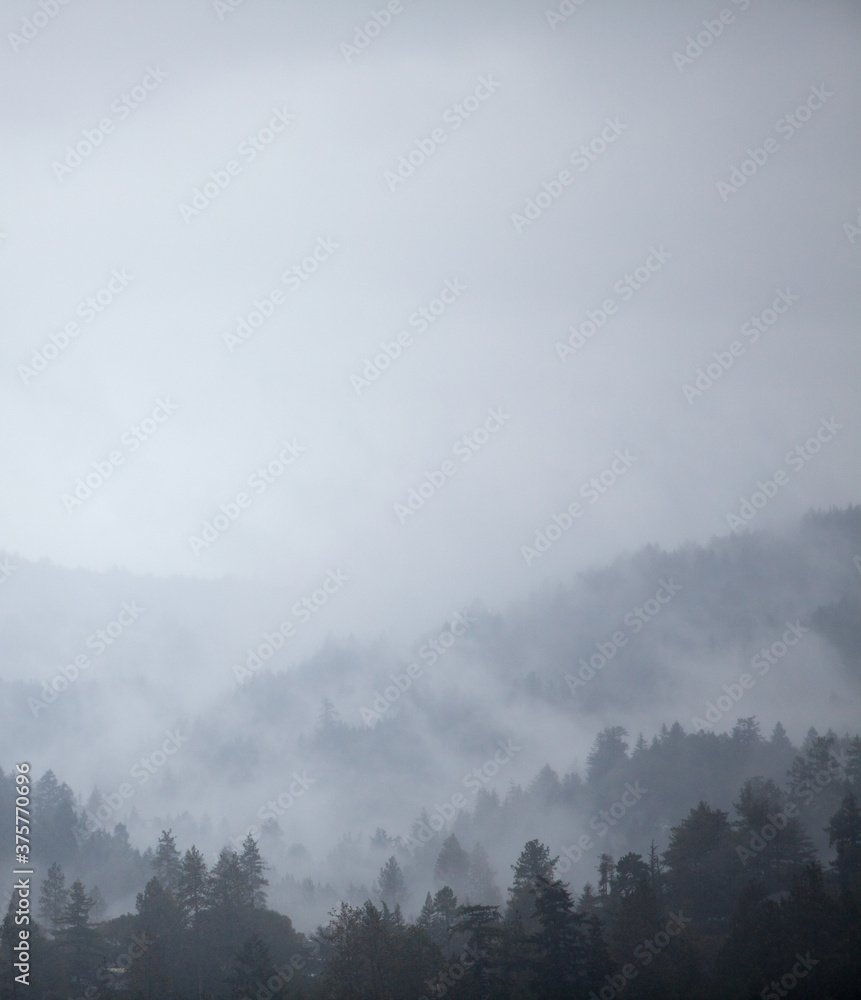 Fog nestled in the mountains on a dark, rainy day Fog nestled in the mountains on a dark, rainy day