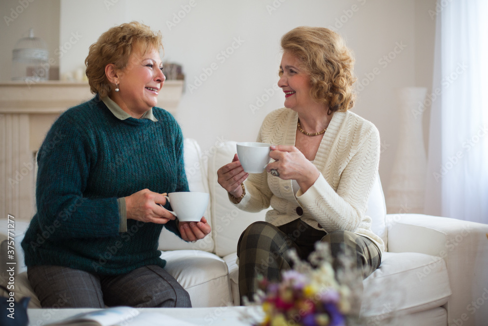 Senior Women Talking Over a Cup of Tea Senior Women Talking Over a Cup of Tea