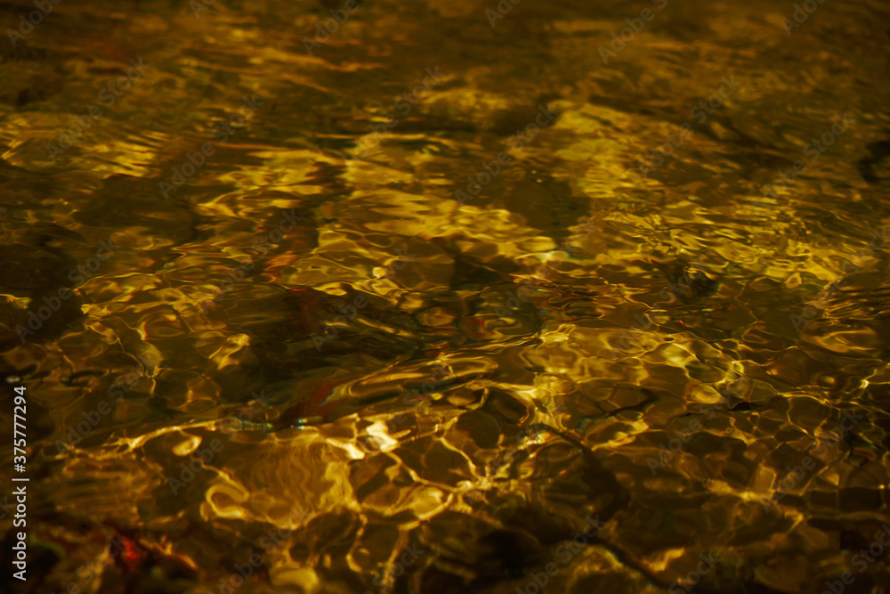 Clear water of a mountain stream.