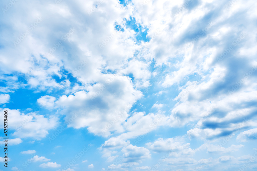 Obraz premium 青空