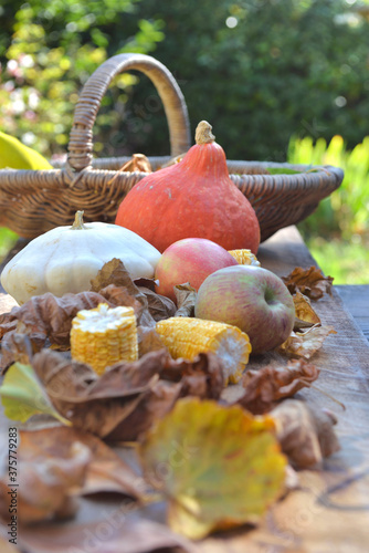 various and colorful autumnal vegetables and fruits in leaves  on wooden back...