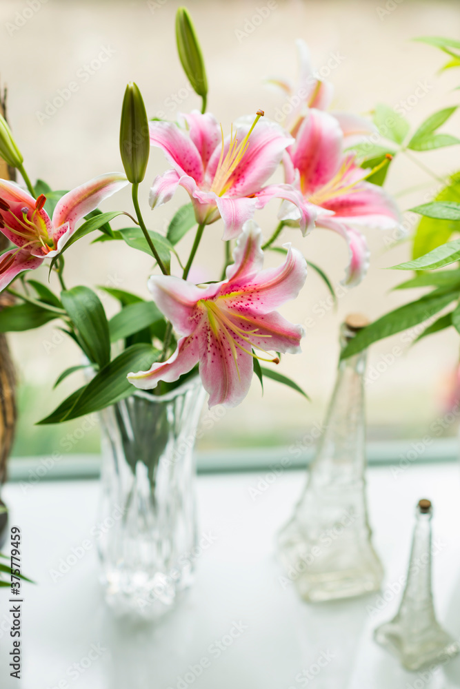 Pink and white lily in glass vase with green leaves Pink and white lily in glass vase with green leaves