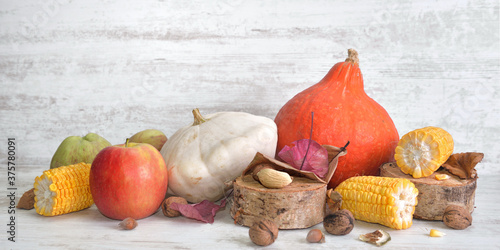 various and colorful autumnal vegetables and fruits with cob of corn cut into...