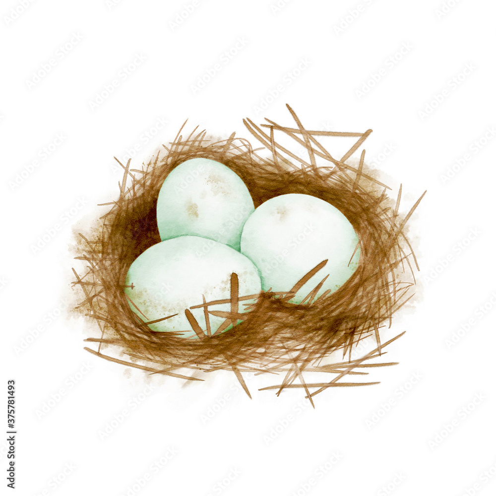 Watercolor Illustration of Three eggs in the nest, isolated on white background. Watercolor Illustration of Three eggs in the nest, isolated on white background.