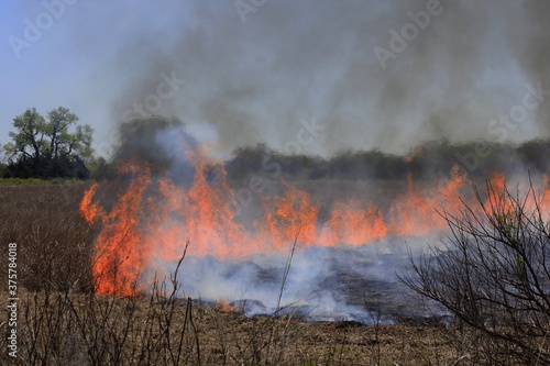 fire in the woods out in the country in Kansas. © Stockphotoman