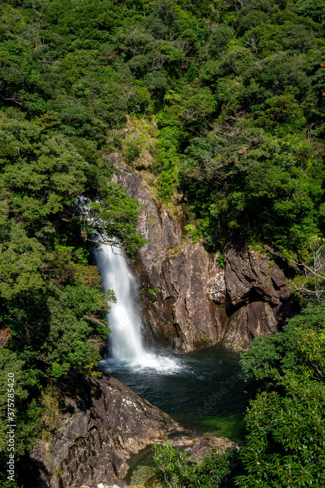 鹿児島県　屋久島国立公園の竜神の滝