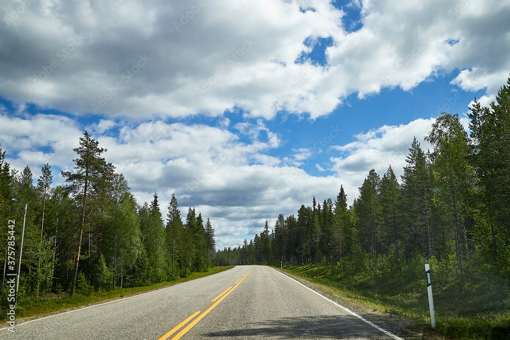 Beautiful landscape with blue sky, white clouds and the road that goes to the horizon with the forest and trees on the roadsides