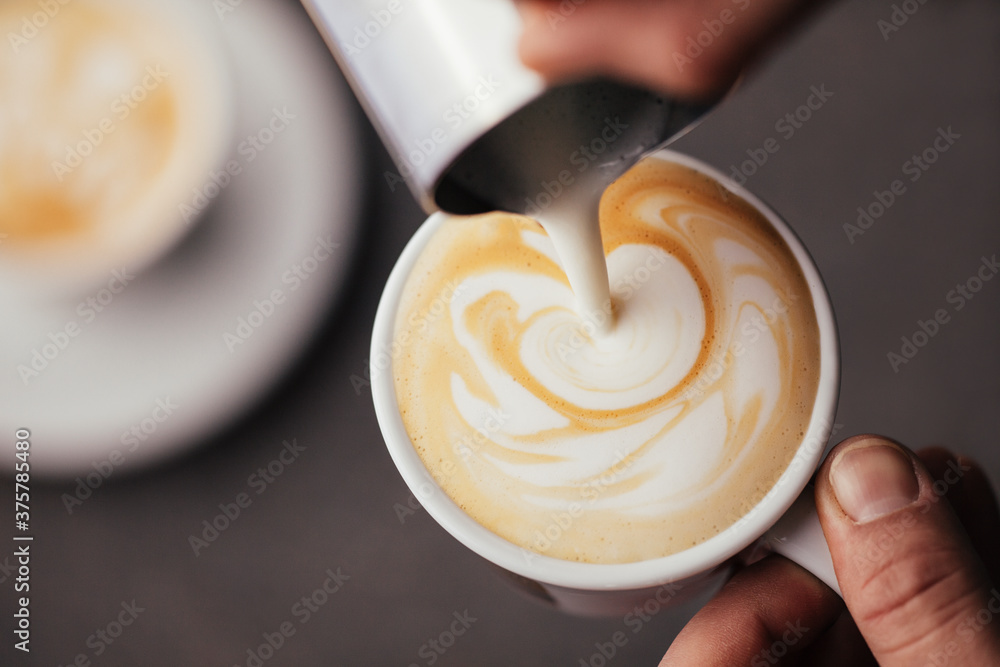 Making Cappuccino Making Cappuccino