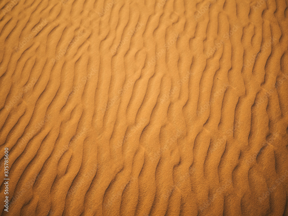 Desert lines Desert lines