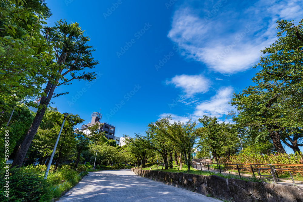 隅田公園（浅草側）の風景