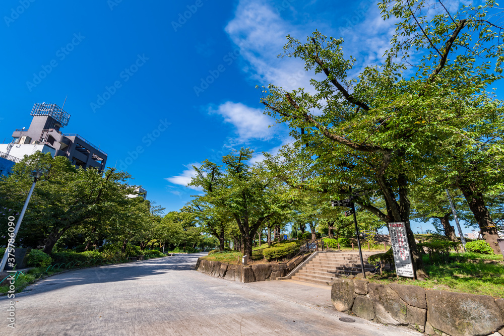 隅田公園（浅草側）の風景
