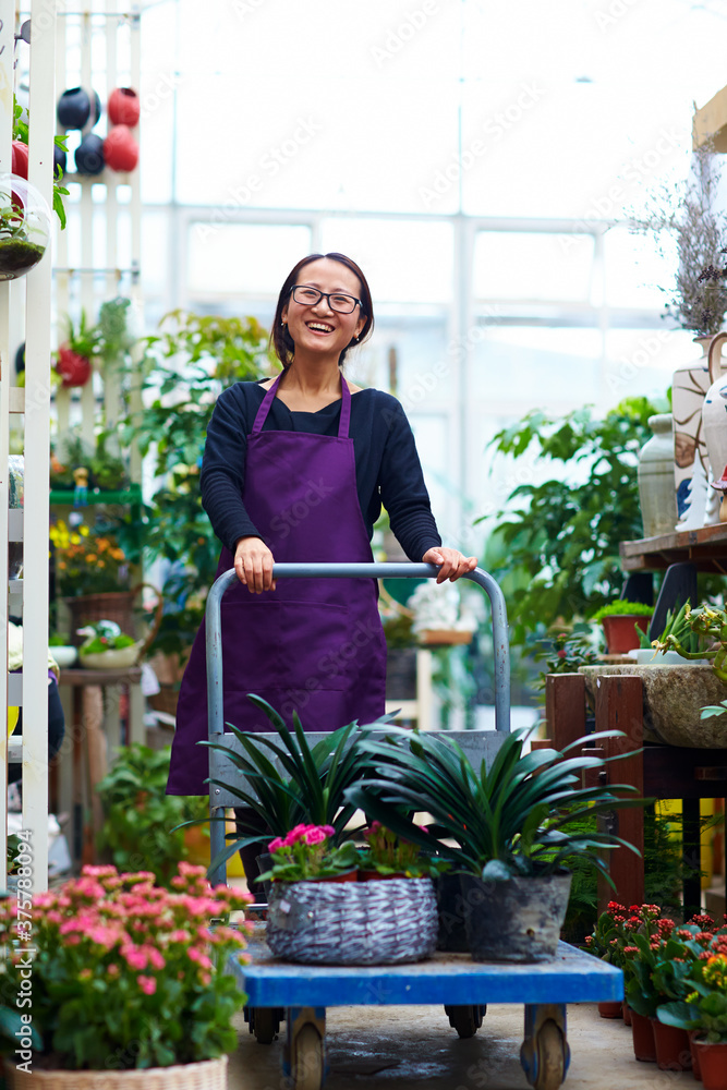 female florist working in the shop female florist working in the shop