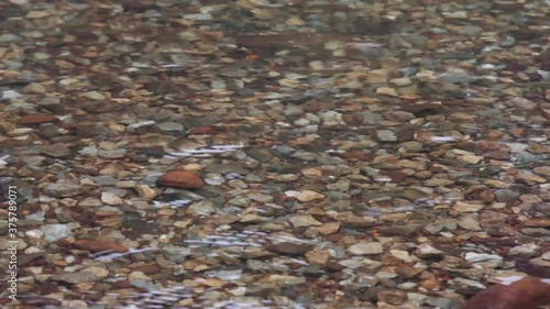 The water stream is clear until you can see the pebbles.