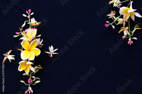 yellow flowers frangipani local flora of asia arrangement flat lay postcard style on background black