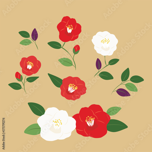 Carta da parati Vector illustration set of red and white  camellia flowers