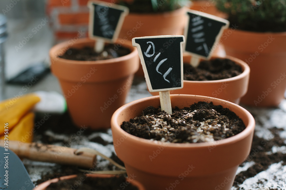 Spring gardening Spring gardening