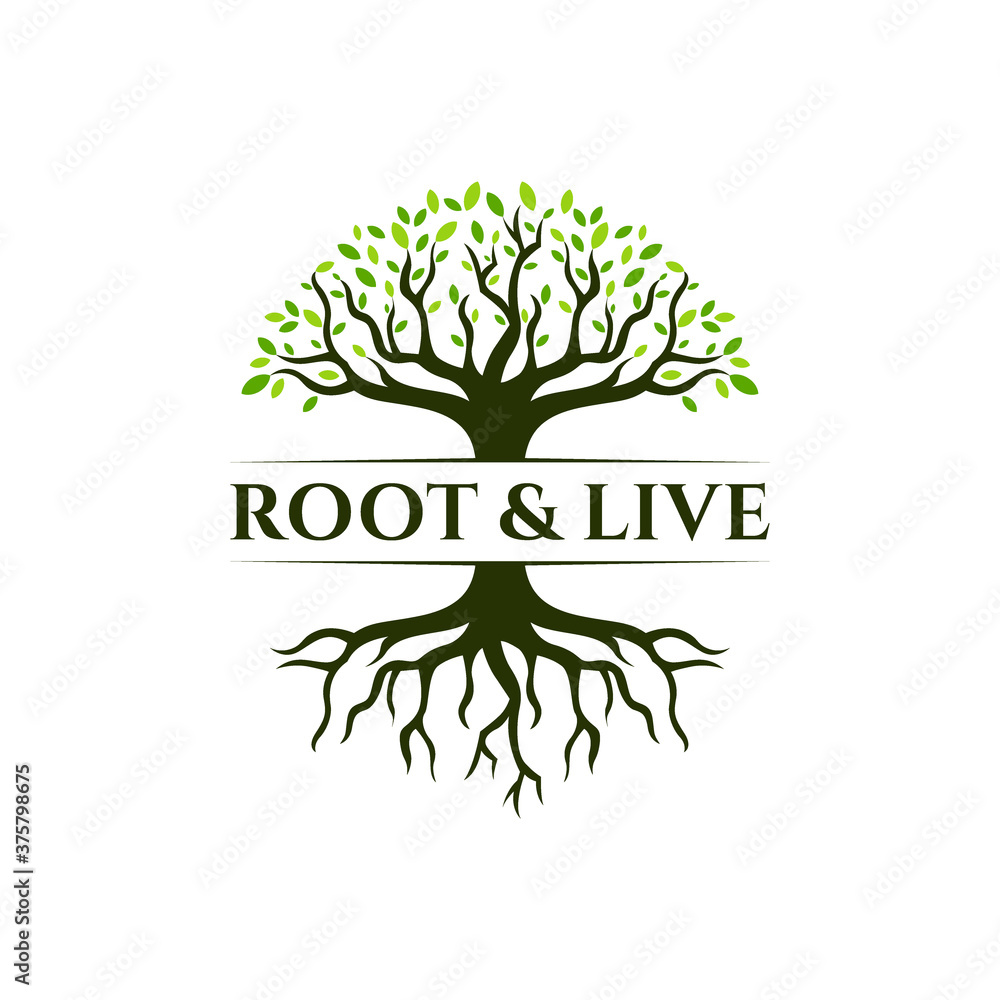 Obraz premium Root & Tree logo design. Vector silhouette of a tree.