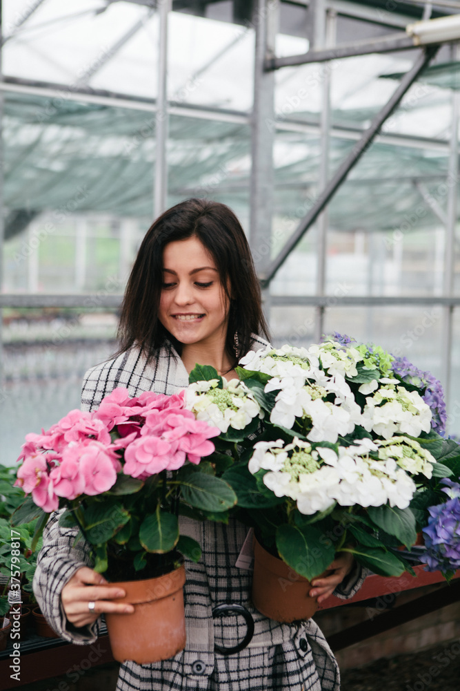 Attractive young woman buying houseplants Attractive young woman buying houseplants