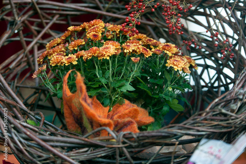 Lahr, »Chrysanthema«: Blumenfestival von Mitte Oktober bis Anfang November: Slogan: »Die Stadt, die im Herbst blüht.« Eine Auswahl an Arrangements und Dekorationen zwischen den Jahren 2010 bis 2019.. photo