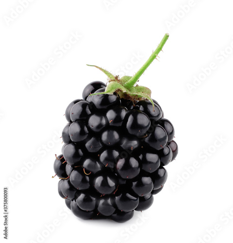 Blackberries isolated on white background. Macro.