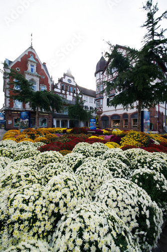 Lahr, »Chrysanthema«: Blumenfestival von Mitte Oktober bis Anfang November: Slogan: »Die Stadt, die im Herbst blüht.« Eine Auswahl an Arrangements und Dekorationen zwischen den Jahren 2010 bis 2019.. photo