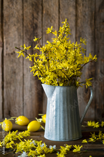 Rustic jug full of forsythia branches photo