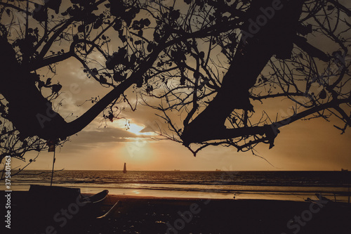 Silhouette boat and tree at sunset,