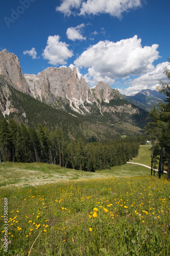 Idyllic landscape with dolomites in Val di Fassa  Trentino Alto-Adige  Italy