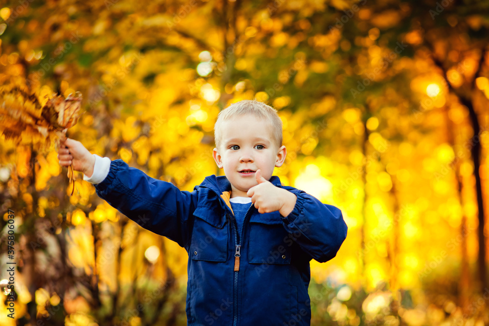 A little boy in an autumn Park. A happy child holds fallen leaves in his hands while playing in an autumn Park. Children walk in the autumn Park. Cute boy playing with maple leaves in the open air A little boy in an autumn Park. A happy child holds fallen leaves in his hands while playing in an autumn Park. Children walk in the autumn Park. Cute boy playing with maple leaves in the open air
