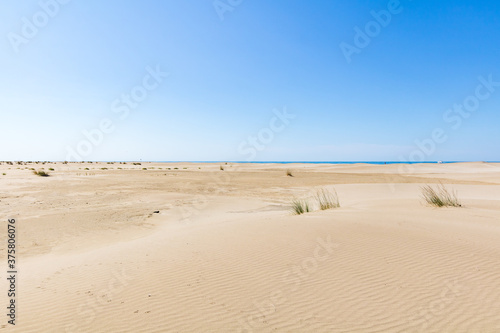 Paysage de dunes de sable    la pointe de l Espiguette sur la c  te m  diterran  enne  Occitanie  France 