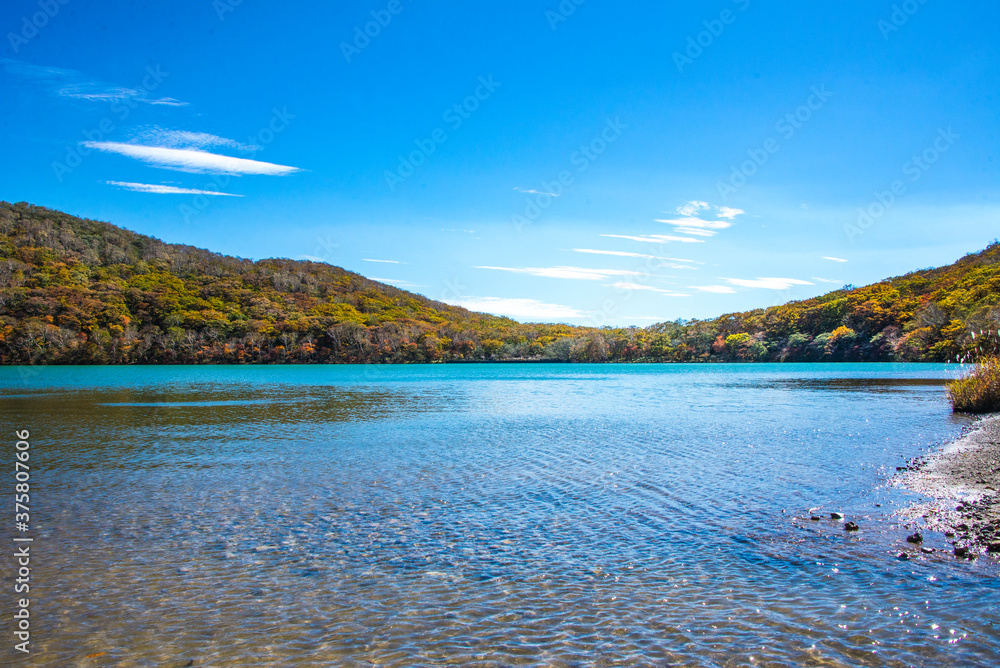 Fototapeta premium 青空を背景に紅葉する赤城山を小沼